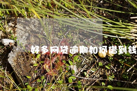 好多网贷逾期如何借到钱 好多网贷逾期如何借到钱