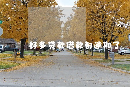 好多贷款借款都逾期了 好多贷款借款都逾期了