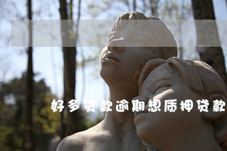 好多贷款逾期想质押贷款 好多贷款逾期想质押贷款