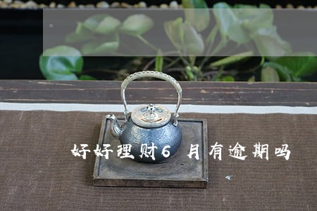 好好理财6月有逾期吗
