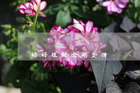 好好理财逾期垫付 好好理财逾期垫付