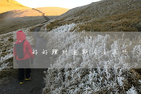 好好理财逾期还会还吗