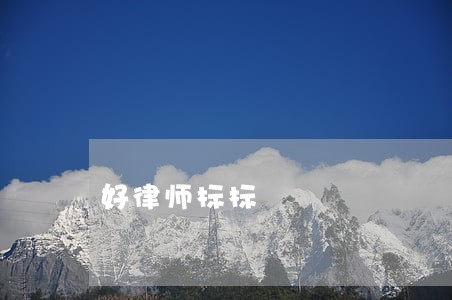好律师标标 好律师标标