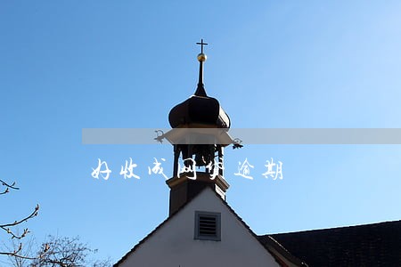 好收成网贷逾期