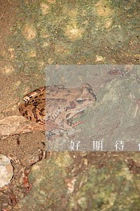 好期待有逾期4天会上征信 好期待有逾期4天会上征信