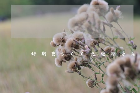 好期贷500元逾期多久立案 好期贷500元逾期多久立案