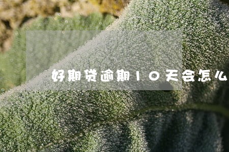好期贷逾期10天会怎么样 好期贷逾期10天会怎么样