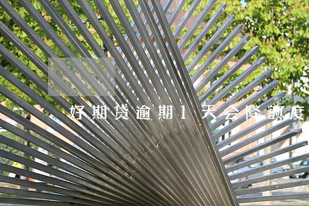 好期贷逾期1天会降额度吗 好期贷逾期1天会降额度吗