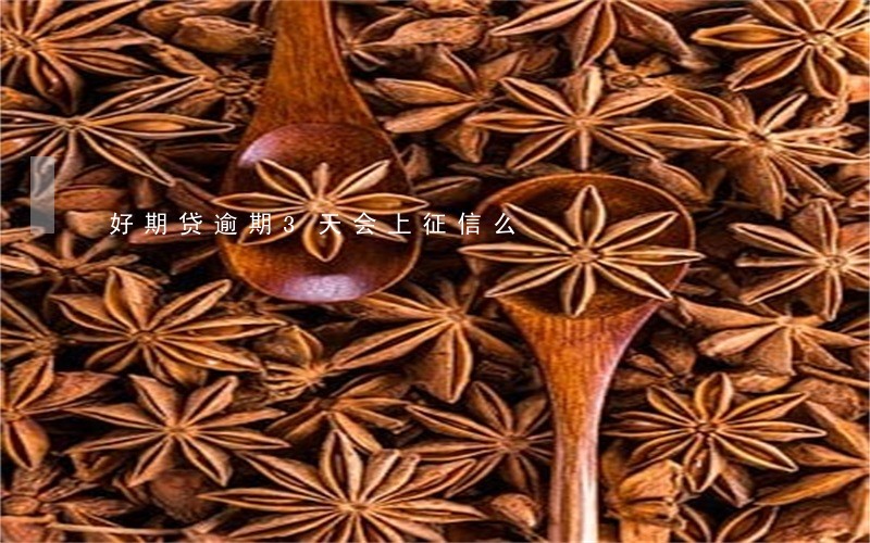 好期贷逾期3天会上征信么