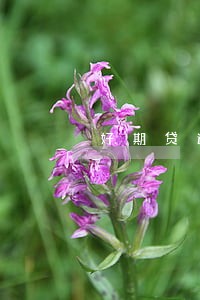 好期贷逾期了3天会怎么样