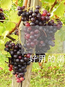 好用的南京债务纠纷律师 好用的南京债务纠纷律师