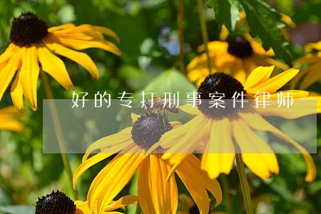 好的专打刑事案件律师一对一咨询 好的专打刑事案件律师一对一咨询