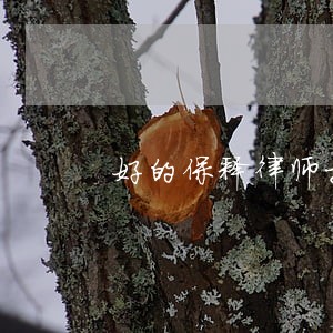 好的保释律师推荐 好的保释律师推荐
