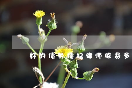 好的债务债权律师收费多少 好的债务债权律师收费多少