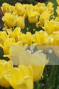 好的债务律师收费标准