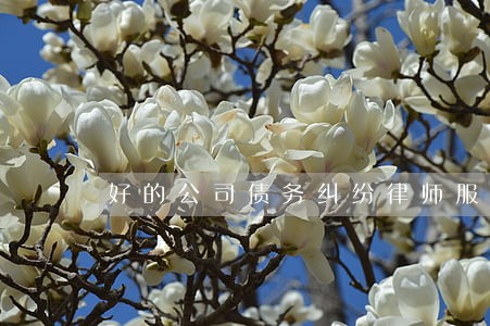 好的公司债务纠纷律师服务热线 好的公司债务纠纷律师服务热线