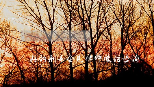 好的刑事会见律师微信咨询 好的刑事会见律师微信咨询