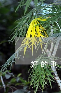 好的刑事取保候审律师推荐 好的刑事取保候审律师推荐