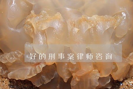 好的刑事案律师咨询 好的刑事案律师咨询