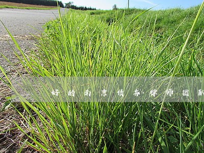 好的南京债务律师团队 好的南京债务律师团队