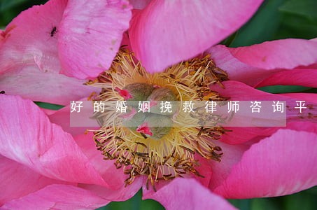 好的婚姻挽救律师咨询平台 好的婚姻挽救律师咨询平台