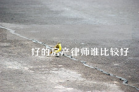好的房产律师谁比较好 好的房产律师谁比较好