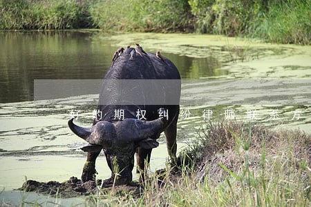 好的期权纠纷律师联系方式 好的期权纠纷律师联系方式