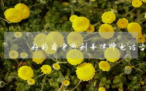 好的看守所刑事律师电话咨询 好的看守所刑事律师电话咨询