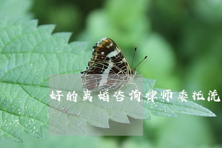 好的离婚咨询律师委托流程 好的离婚咨询律师委托流程