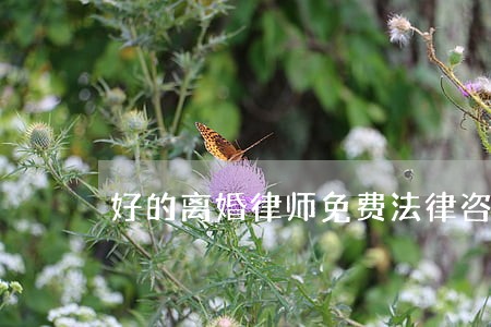好的离婚律师免费法律咨询 好的离婚律师免费法律咨询