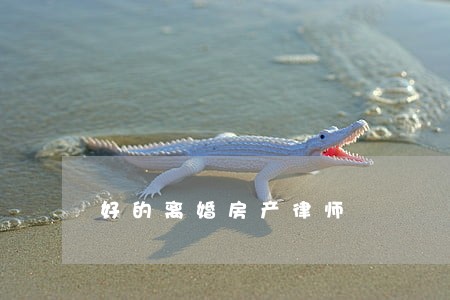 好的离婚房产律师 好的离婚房产律师