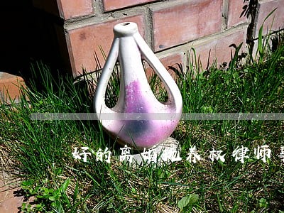 好的离婚抚养权律师事务所 好的离婚抚养权律师事务所