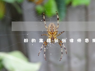 好的离婚纠纷律师费用 好的离婚纠纷律师费用