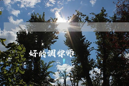 好的调律师 好的调律师