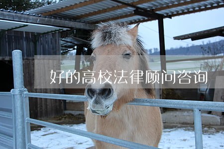 好的高校法律顾问咨询 好的高校法律顾问咨询