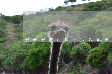 好聚好散可以帮我起诉离婚吗 好聚好散可以帮我起诉离婚吗