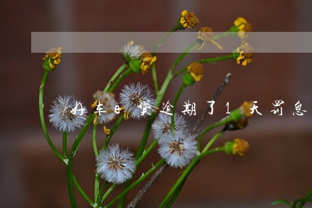 好车e贷逾期了1天罚息