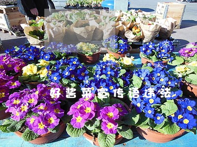 好酱菜宣传语违法 好酱菜宣传语违法