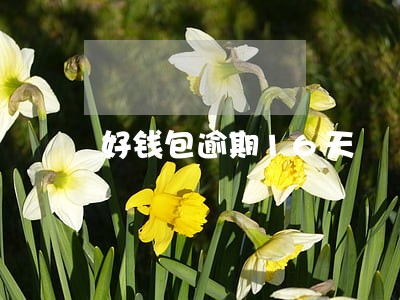好钱包逾期16天 好钱包逾期16天
