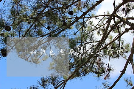 好钱包逾期1天上征信 好钱包逾期1天上征信