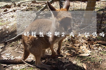 好钱包逾期2天上征信吗 好钱包逾期2天上征信吗