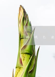 好钱包逾期3天会套路吗 好钱包逾期3天会套路吗