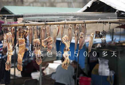 好钱包逾期500多天 好钱包逾期500多天