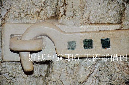 好钱包逾期6天还能借吗 好钱包逾期6天还能借吗