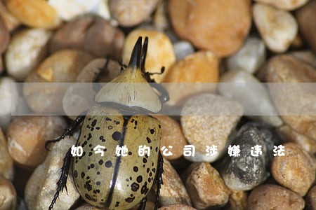 如今她的公司涉嫌违法 如今她的公司涉嫌违法