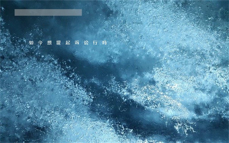 如今想提起诉讼行吗 如今想提起诉讼行吗