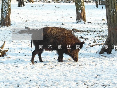 如何不被法院冻结银行卡吗 如何不被法院冻结银行卡吗