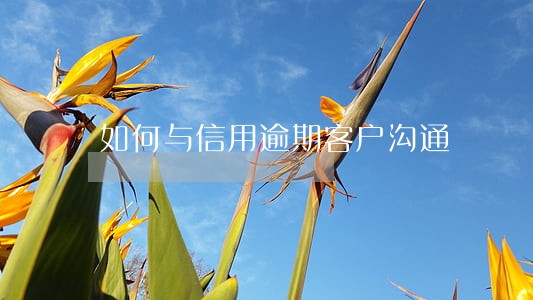 如何与信用逾期客户沟通 如何与信用逾期客户沟通