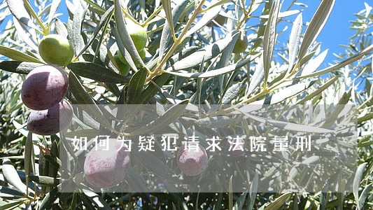 如何为疑犯请求法院量刑 如何为疑犯请求法院量刑