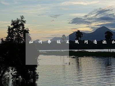 如何举报互联网违法和不良信息 如何举报互联网违法和不良信息